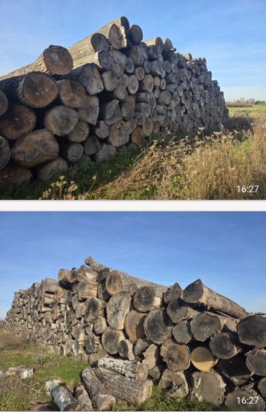 Dąb 2025 2i 3 klasa grubosci 1500 zł klasy bcd