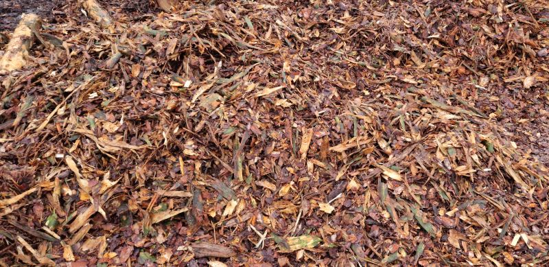 kora sosnowa - frakcja mieszana 