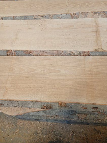 obrzynana i nieobrzynana taricica bukowa suche lekko parzona 45mm